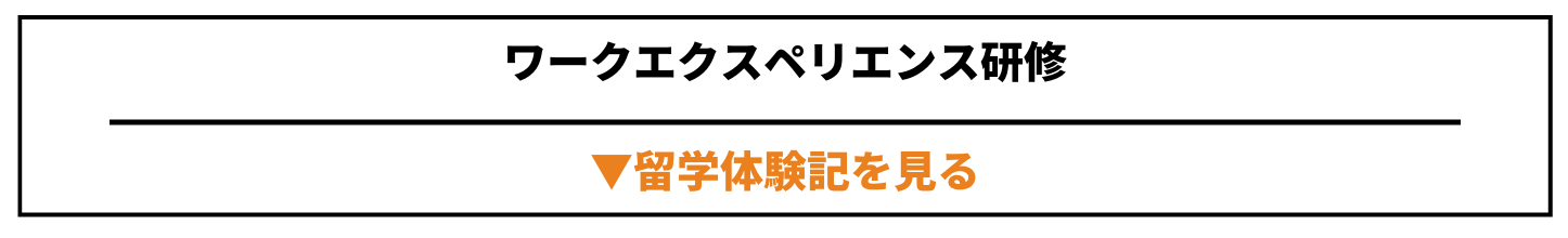 グローバルビジネス学科 | 名古屋外国語大学 現代国際学部グローバルビジネス学科|グローバル共生の世界へ
